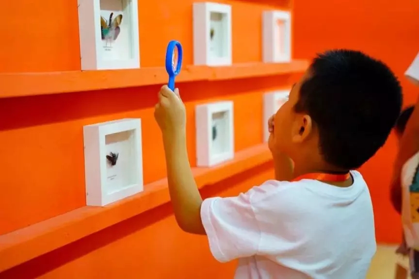 深圳近自然生态展