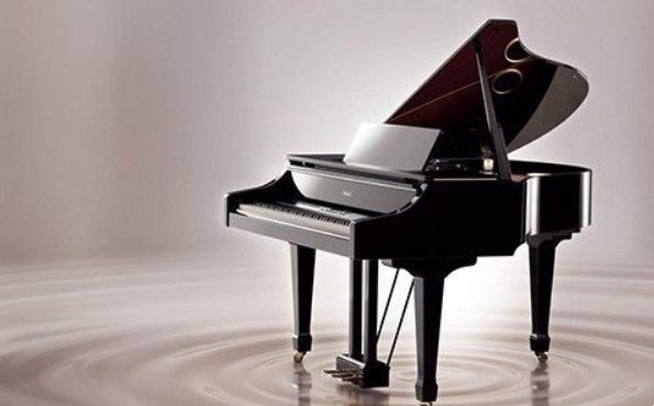 2020卡农北京新春音乐会