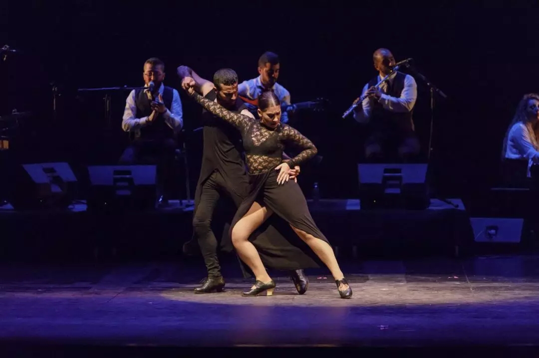 2020舞蹈《浴火重生》天津站