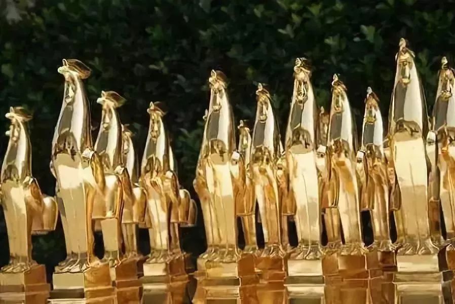 第28届金鸡百花电影节