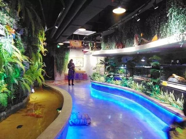 2019南宁麦族室内动物观赏乐园