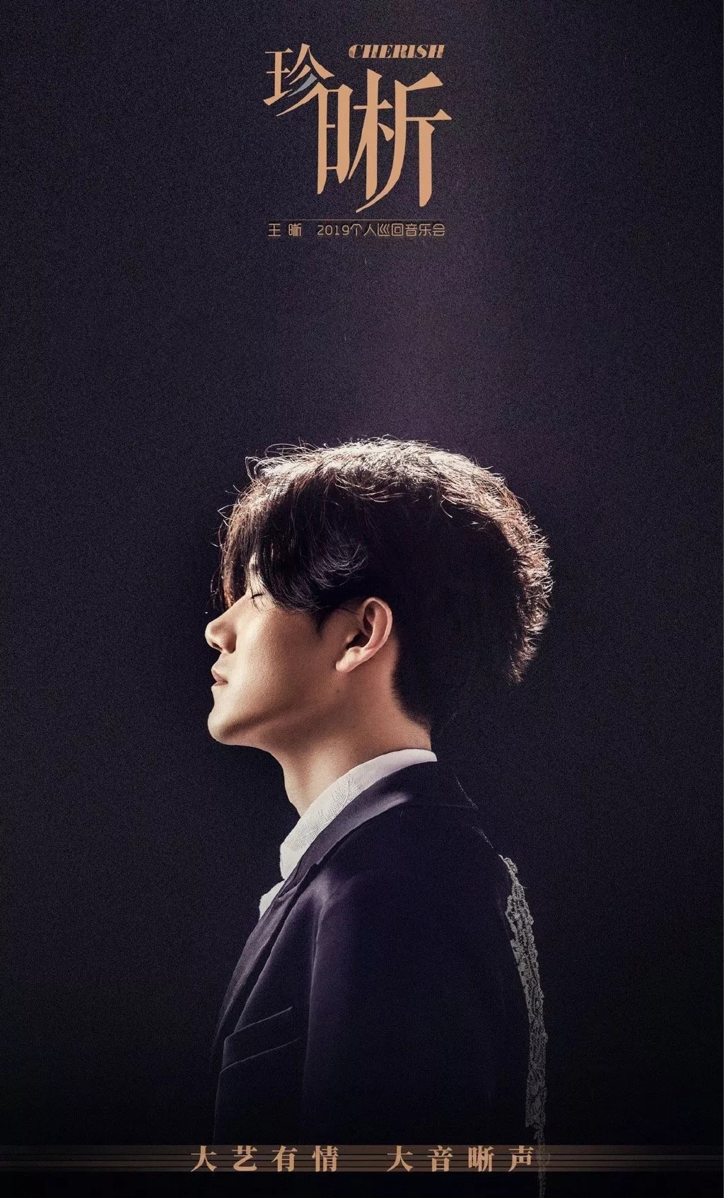 王晰个人巡回音乐会时间表,王晰演唱会2022城市