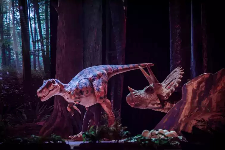 南宁儿童亲子剧2019演出信息