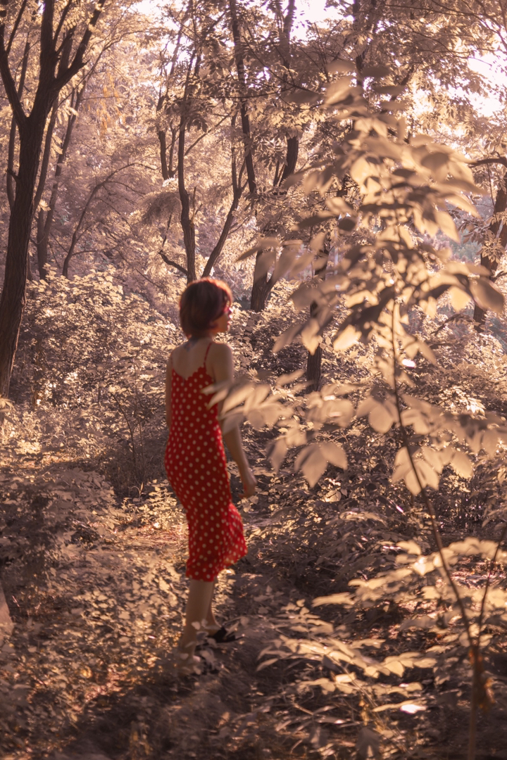 王胜娚长春演唱会