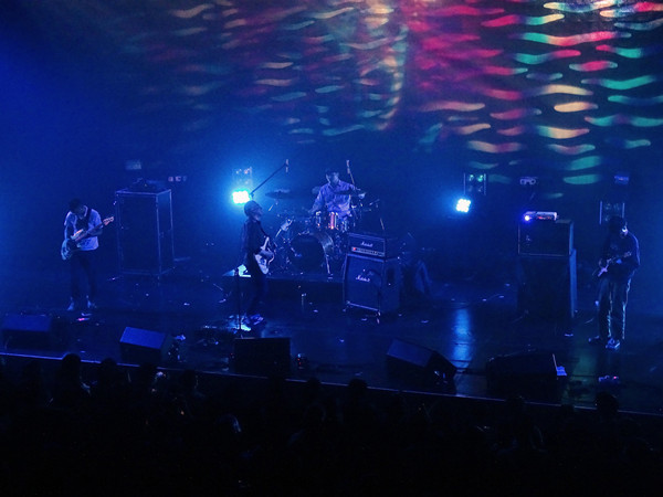 大布偶苏州演唱会