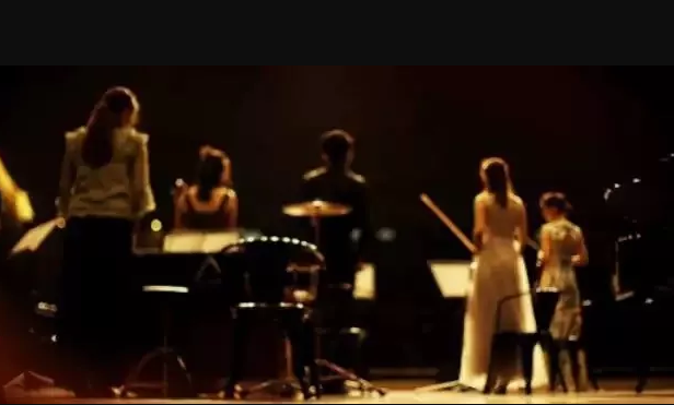 2020卡农Canon In D武汉音乐会