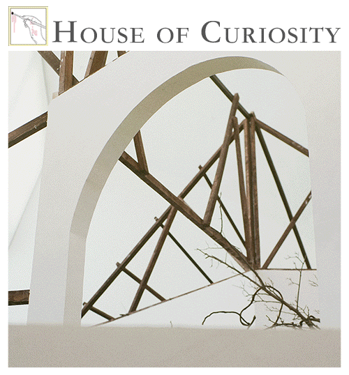 北京花木主题沉浸式集合展