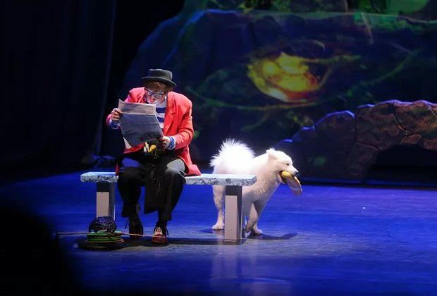 2020舞台剧《小丑动物嘉年》华唐山站