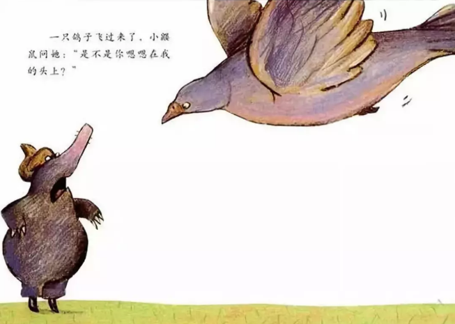 2019表演剧《是谁嗯嗯在我头上》廊坊站