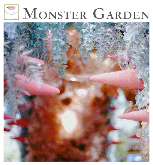 北京花木主题沉浸式集合展