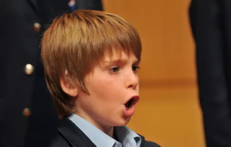 圣马可童声合唱团保定音乐会