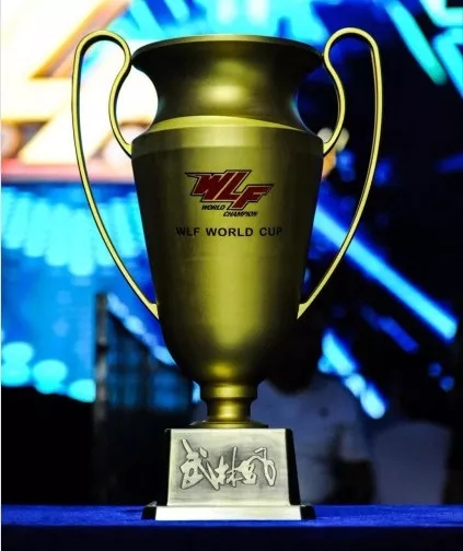 郑州武林风搏击世界杯