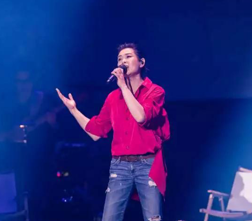 刘若英2020演唱会行程