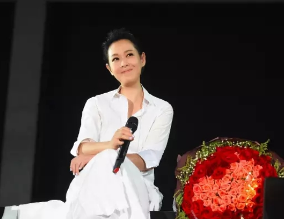 刘若英2020演唱会行程