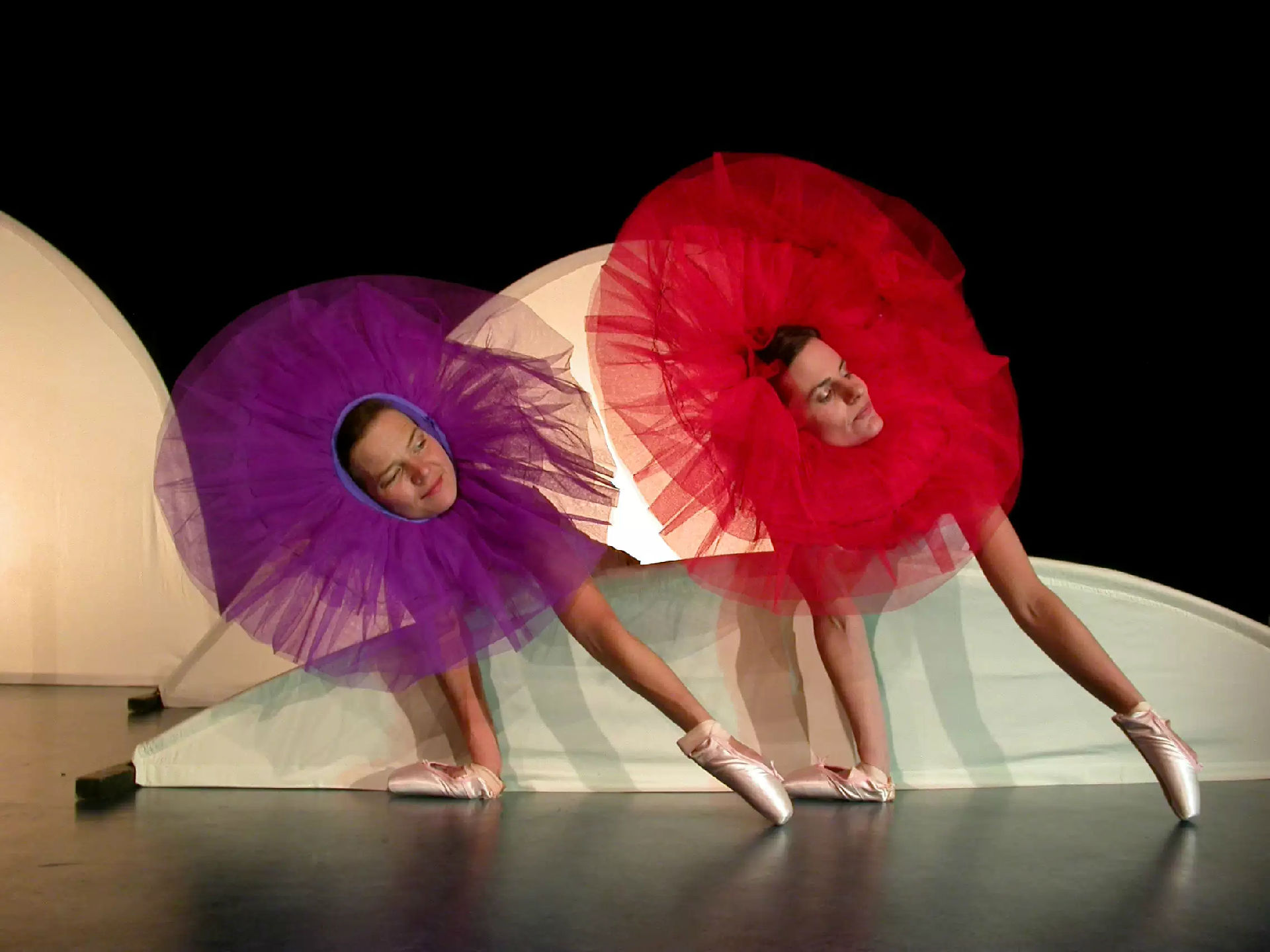 2020芭蕾舞剧《小小天鹅湖》成都站