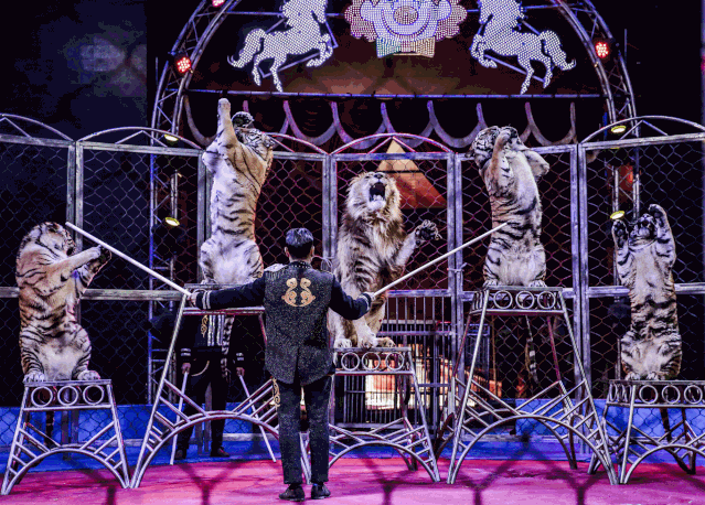 郑州国际马戏嘉年华