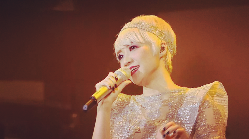 “活力之光”稻花香2019群星演唱会-十堰站