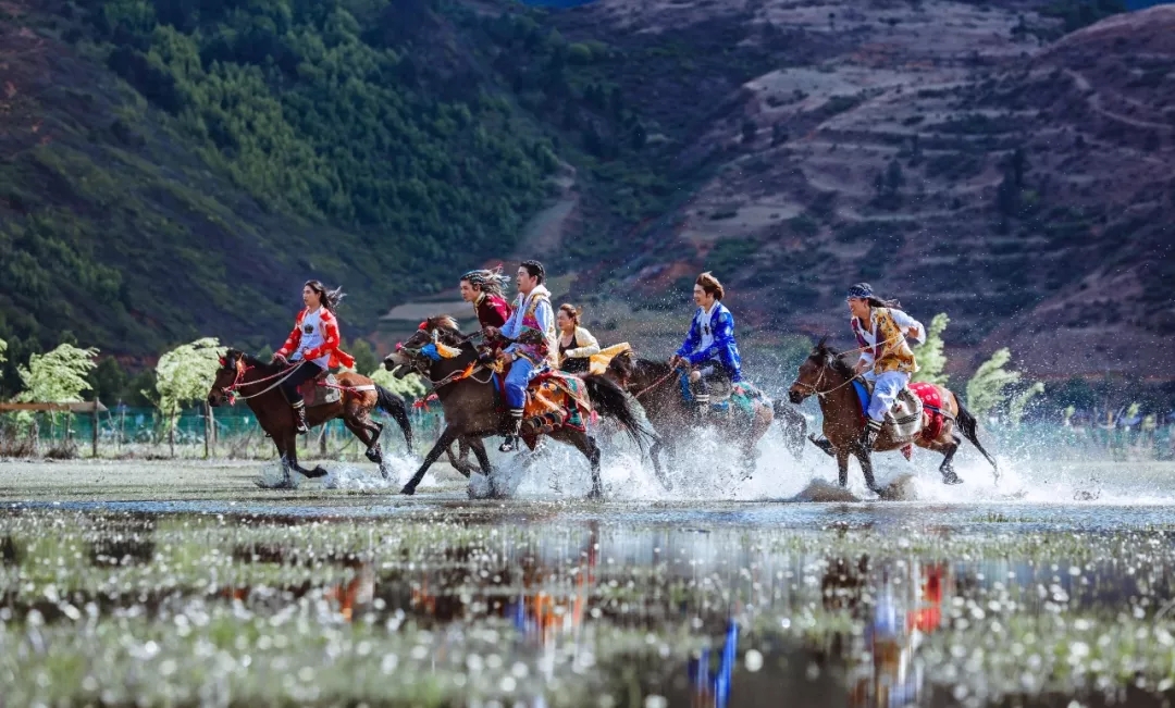 摩梭在春天宁波演唱会