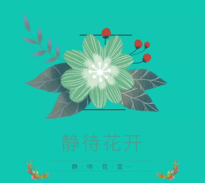 2019-2020四川卫视花开天下新年演唱会