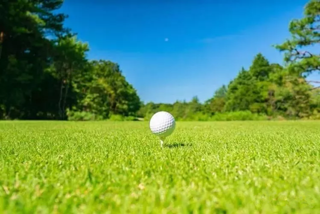 2019男子高尔夫球比赛武汉站