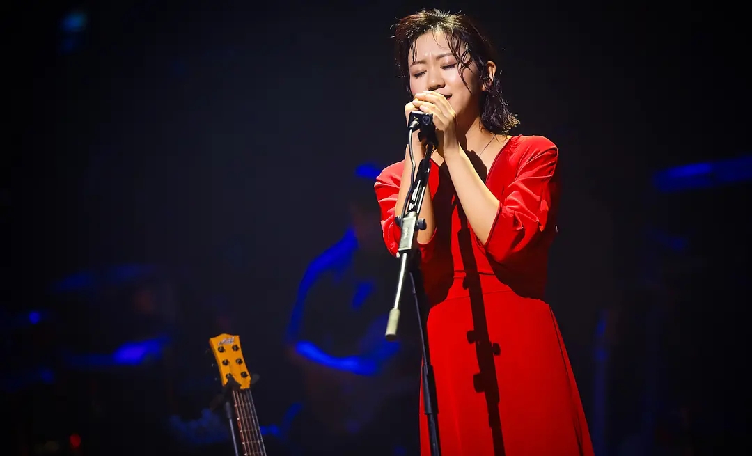 2019谢春花合肥演唱会