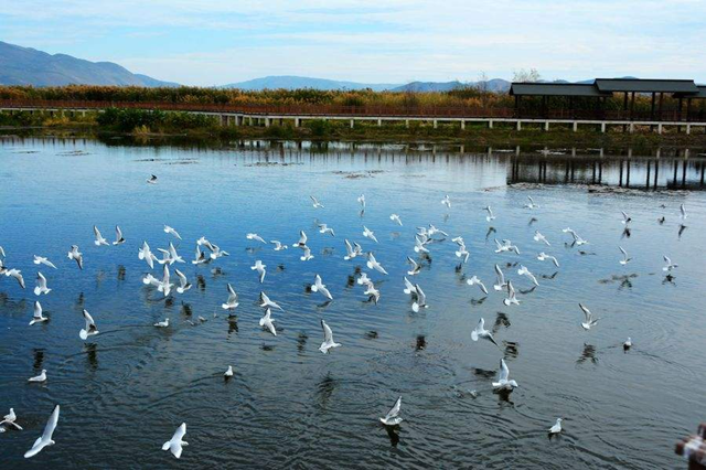 2019郑州音乐节信息一览