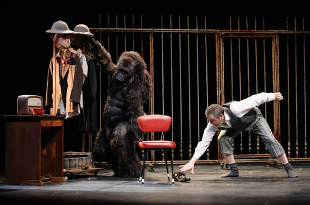 2019家庭剧黑色甜猩济南站