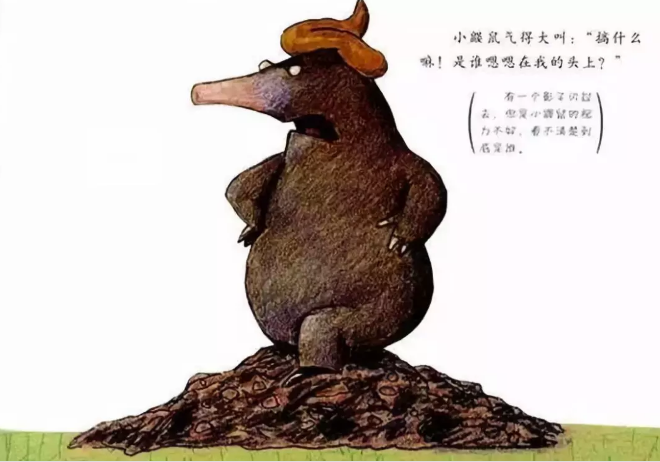 2019表演剧《是谁嗯嗯在我头上》廊坊站