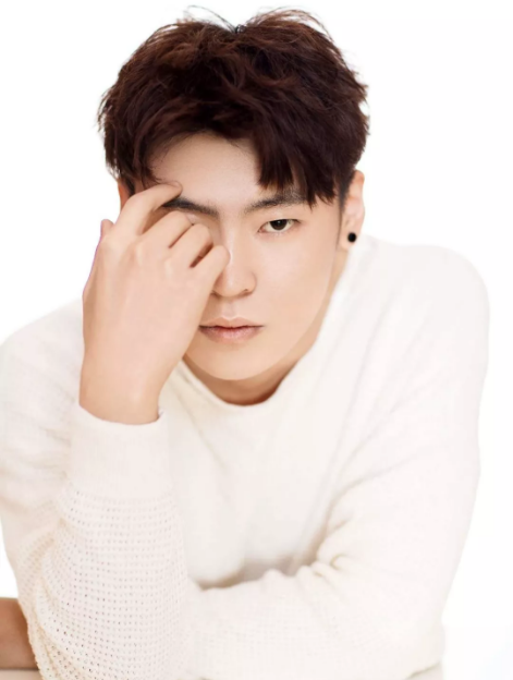 隔壁老樊2020演唱会郑州站