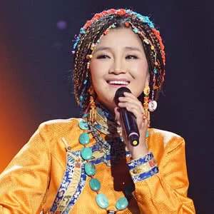 镇江古井贡酒之夜群星演唱会