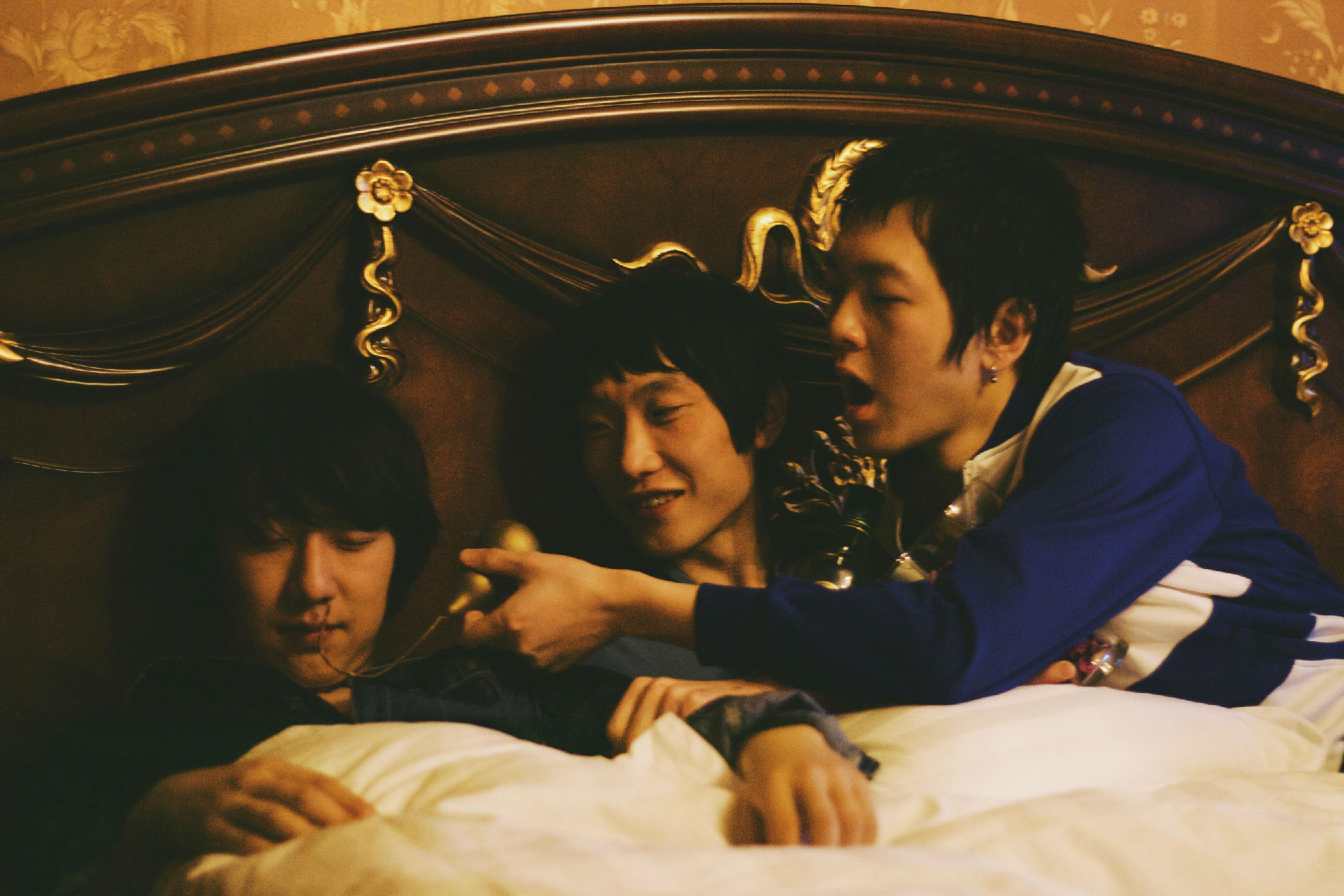 盘尼西林演唱会2019票价