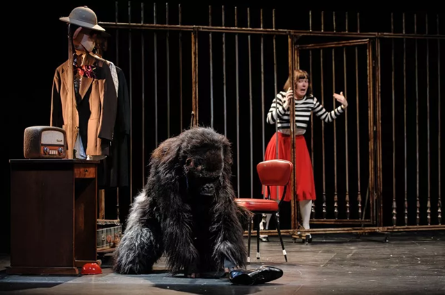 2019家庭剧黑色甜猩济南站