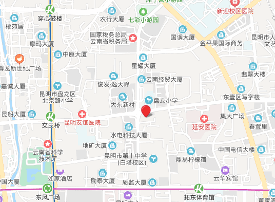 2020卢卡百合交响乐团昆明音乐会