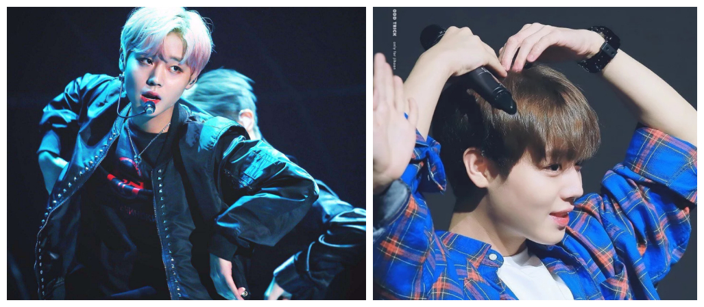 朴志训澳门演唱会