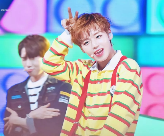 朴志训澳门演唱会