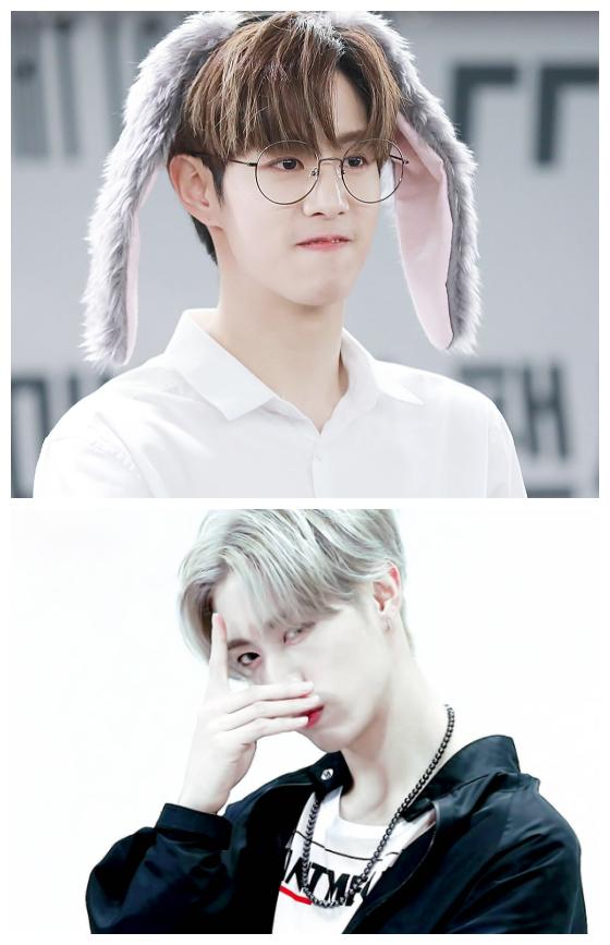 段宜恩上海见面会