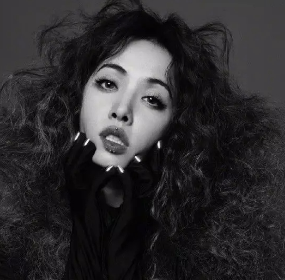 2023蔡依林南京演唱会门票、歌单、座位图