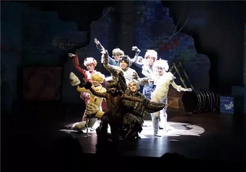 2020音乐剧《寻梦的猫》济南站