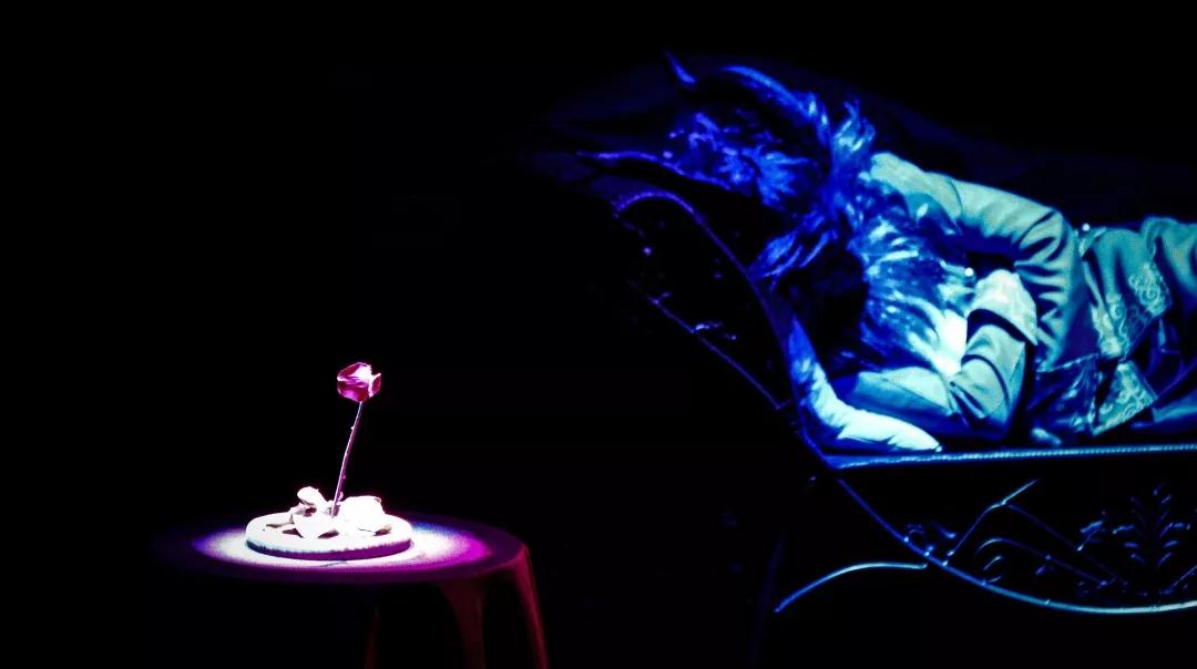 2020魔术剧《贝儿与王子》宁波站