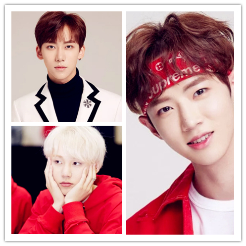 乐华七子上海演唱会