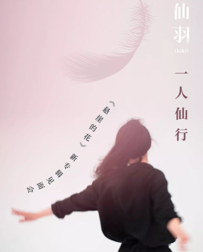 2020仙羽郑州演唱会