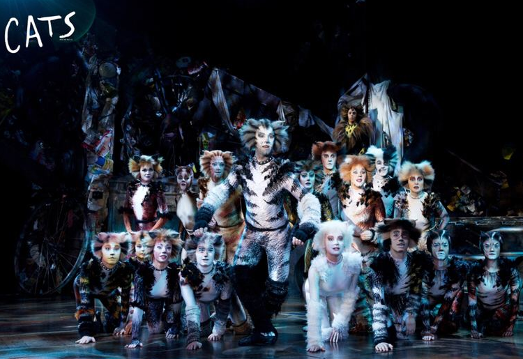 2022音乐剧猫CATS杭州站（时间+地点+门票）抢票攻略