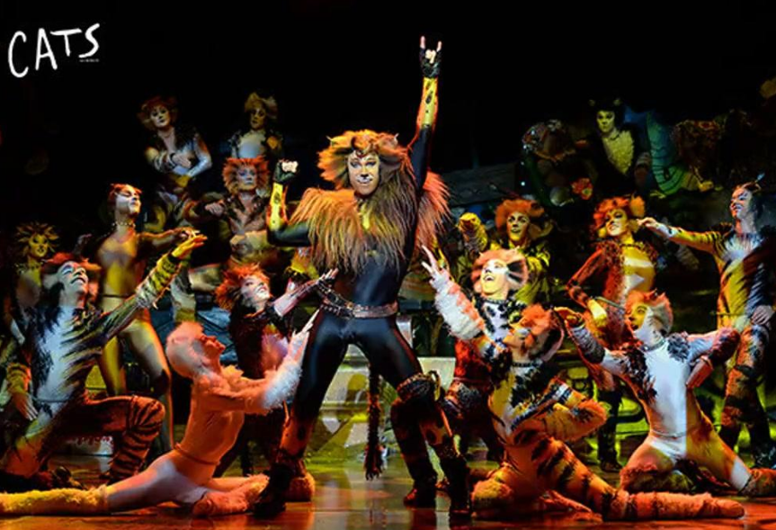 2022音乐剧猫CATS杭州站（时间+地点+门票）抢票攻略