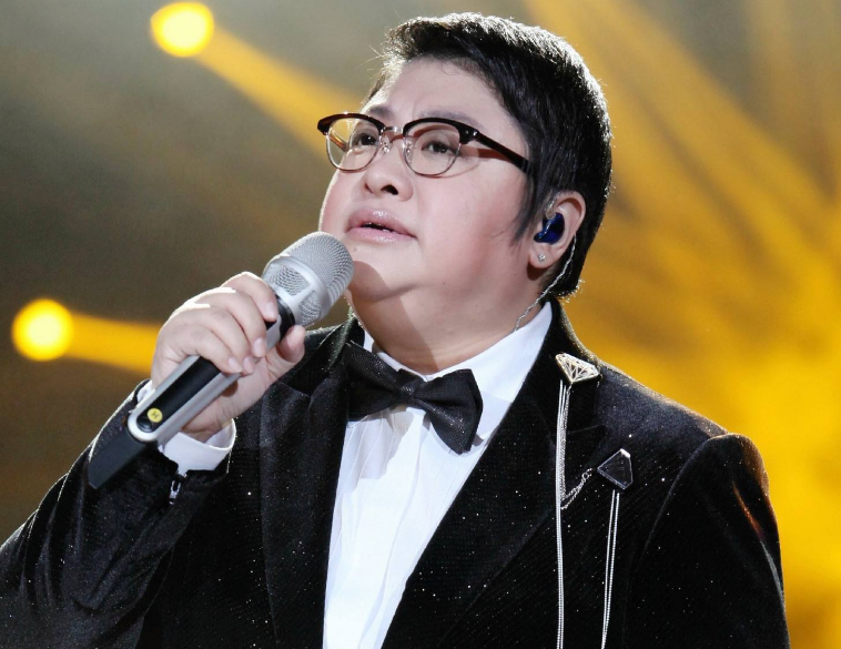 2023韩红武汉演唱会演出详情及购票网址