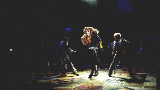 2022音乐剧猫CATS杭州站（时间+地点+订票地址）