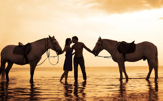 2020《致亲爱的你》武汉站