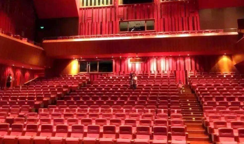 2020瓦西里惠州音乐会