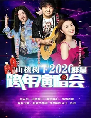2020杨臣刚王若熙雪十郎黄石演唱会