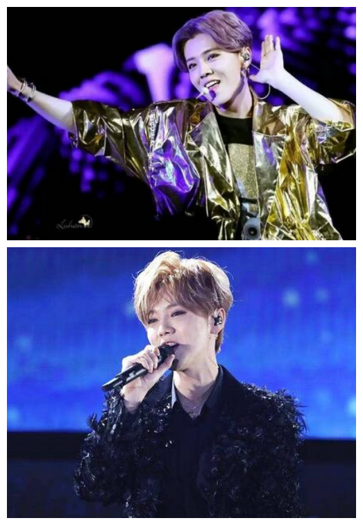 鹿晗2020年演唱会门票