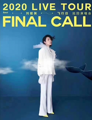 2025刘若英蚌埠演唱会
